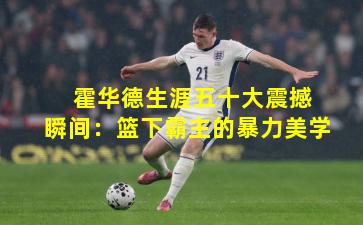  霍华德生涯五十大震撼瞬间：篮下霸主的暴力美学