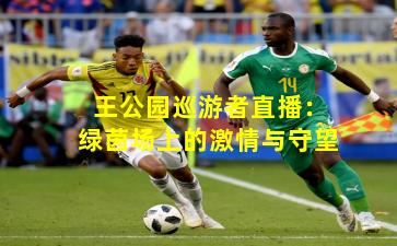 王公园巡游者直播：绿茵场上的激情与守望